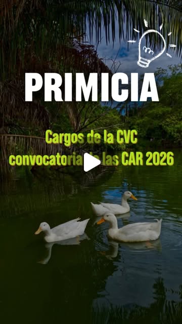 Publicación de ConMérito en Instagram