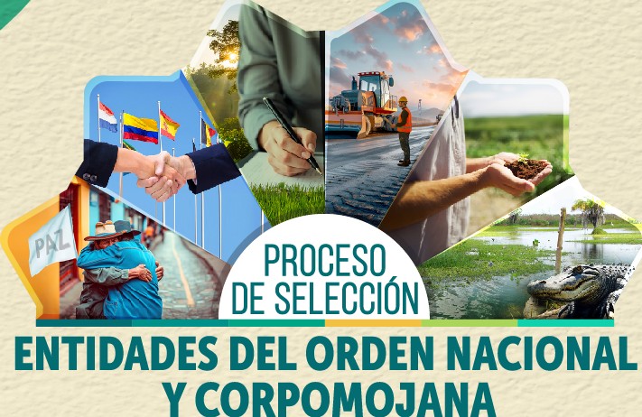 ¿Qué estudia tu competencia? Los ejes temáticos de EON y CORPOMOJANA, en datos